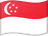 sg flag